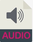 audio icon